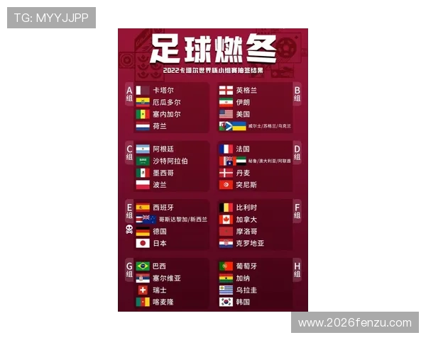 2026年世界杯球队数量预计将有哪些变化，专家深度解读与预测