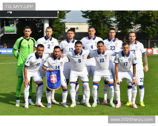 世界杯巴西塞尔维亚比赛中出现的精彩进球与战术亮点详解