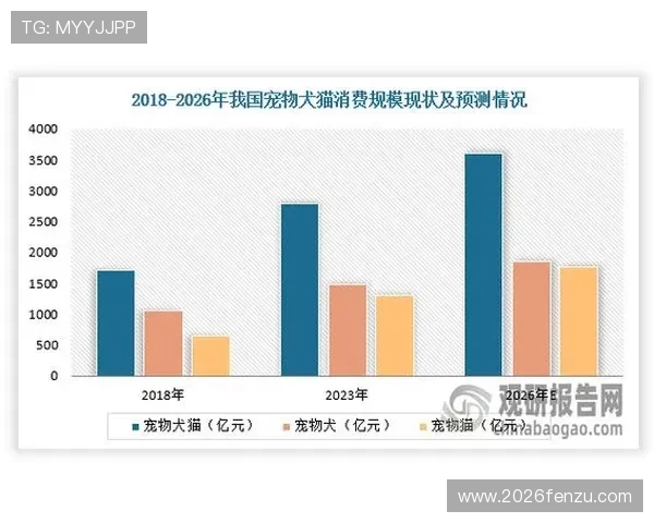 中国足彩官网公告2024年最新更新内容详解帮助玩家及时了解官方信息 中国足彩官网公告2024年最新更新内容详解帮助玩家及时了解官方信息