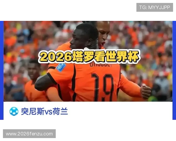 2026年世界杯突尼斯VS荷兰比赛中球队表现与教练策略的成功经验总结